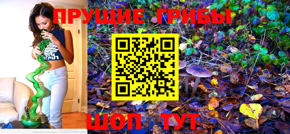 продажа наркотиков  Галлюциногенные грибы GOLDEN TEACHER  Вход с VPN  Новокубанск 