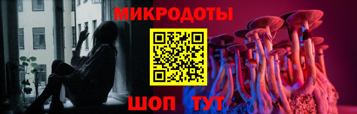 Галлюциногенные грибы Cubensis Новокубанск
